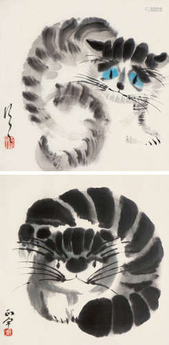 张正宇（1904～1976） 猫 （二幅） 立轴 设色纸本