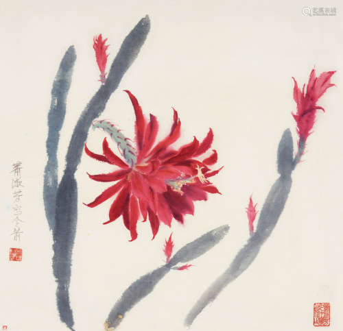 萧淑芳（1911～2005） 令箭花 镜片 设色纸本