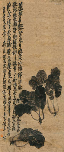 吴昌硕（1844～1927） 菜根香 立轴 水墨纸本