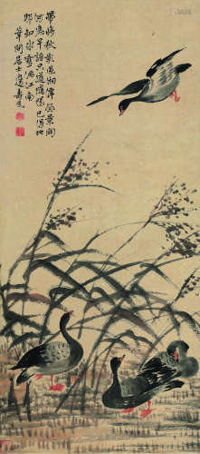 边寿民（1684～1752） 横塘芦雁图 立轴 设色纸本