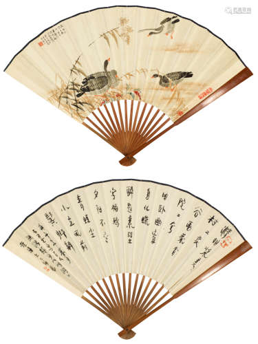 吴青霞（1910～2008） 丁卯（1987年）作 芦雁 成扇 设色纸本