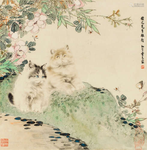 曹克家（1906～1979） 双猫图 镜框 设色纸本
