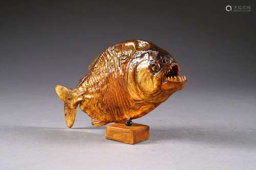 Piranha naturalisé. Sur présentoir. Brésil.<br/>Longueur: 21 cm.