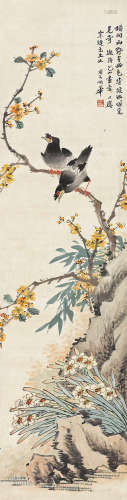 姚华（1876～1930） 水仙八哥 立轴 设色纸本