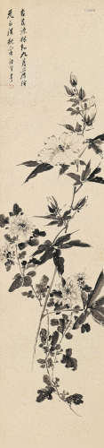 朱昂之（1764～1841） 秋菊锦葵 立轴 水墨洒金笺