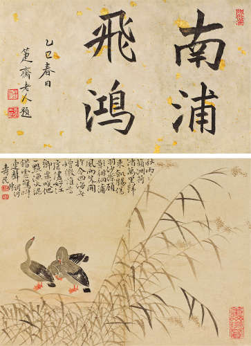 边寿民（1684～1752） 苹洲雁息图 镜心 设色纸本