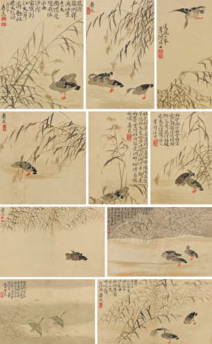 边寿民（1684～1752） 芦雁册 册页 （十开） 设色纸本