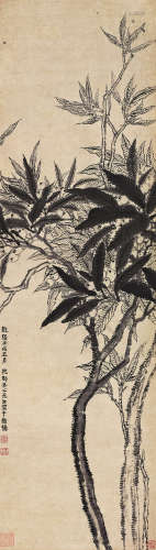 金农（1686～1763） 1742年 枇杷图 立轴 水墨纸本