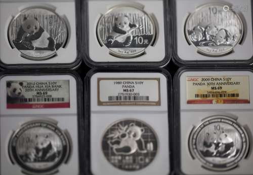 Six Panda silver coins NGC