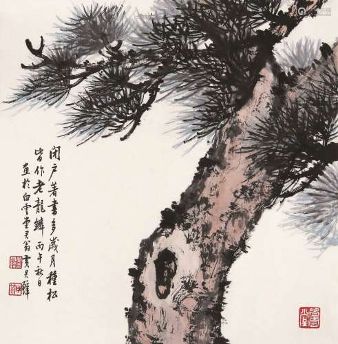黄君璧（1898～1991） 松树 镜心 设色纸本