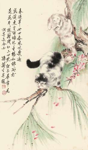 孙菊生（1913-） 桃花双猫  纸本立轴