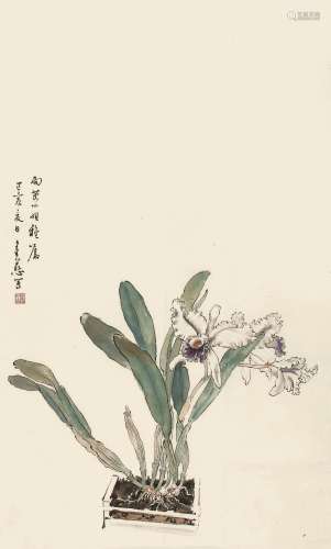 孙多慈（1913－1975） 水仙 1935年作 纸本软片