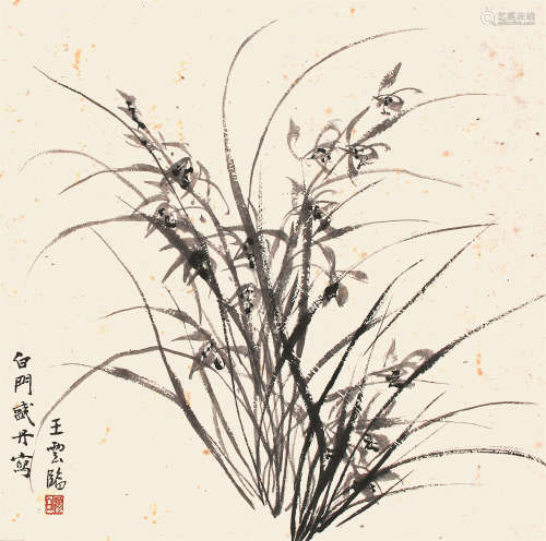 王梦白（1888-1934） 兰草  纸本立轴