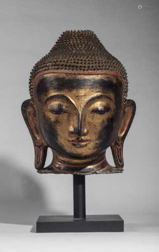Tête de Buddha à la beauté juvénile et l'expression sereine coiffée de fines bouclettes couvrant la protubérance crânienne ushnisha.