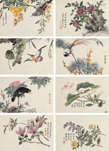 董棨（1772～1844） 花鸟册 册页 （八开） 设色纸本