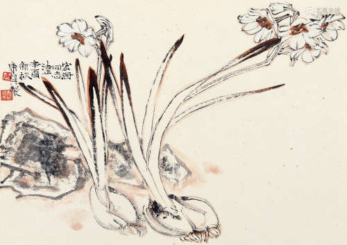 康师尧（1921～1985） 1981年作 水仙 单页 设色纸本