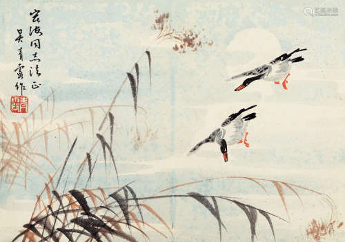 吴青霞（1910～2008） 夜下双雁 单页 设色纸本