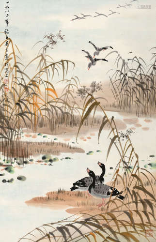 吴青霞（1910～2008） 1982年作 芦雁图 立轴 设色纸本