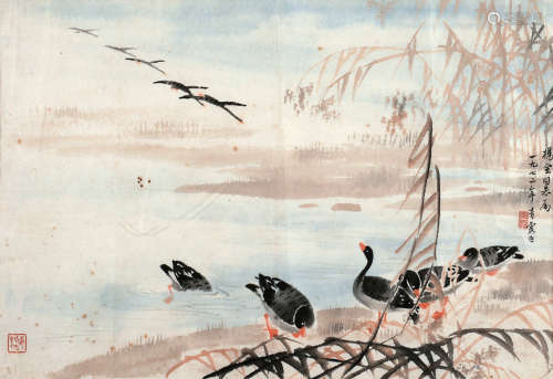 吴青霞（1910～2008） 1972年作 芦雁图 镜框 设色纸本