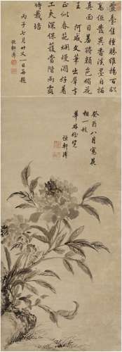 蒋 溥（1708～1761） 墨牡丹