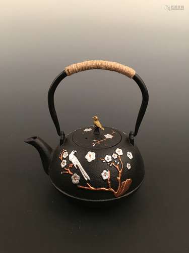 Brand New Chinese Iron Teapot