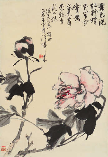 于希宁（1913～2007） 己未 1979年作 牡丹 立轴 设色纸本