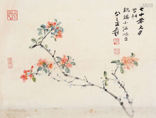 张大千（1899～1983） 1981年作 海棠花 镜片 设色纸本