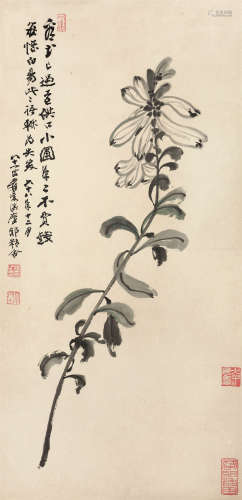 张大千（1899～1983） 花卉 镜芯 设色纸本