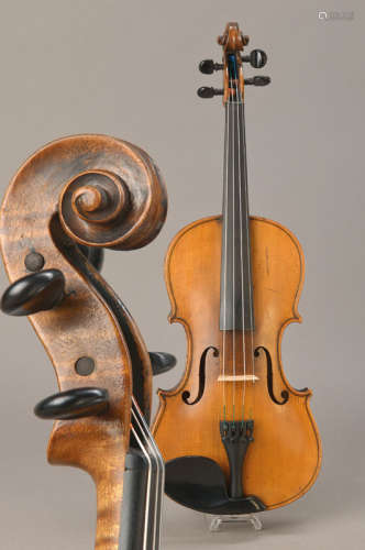 Violin