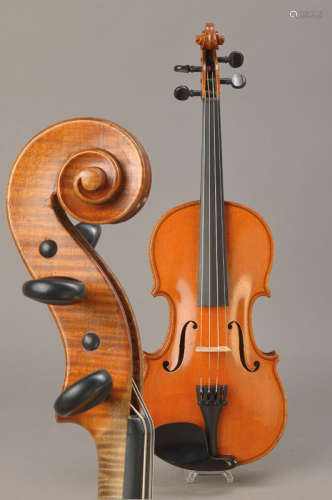 Violin