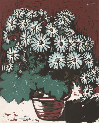 力群（1912～2012） 瓜叶菊 镜框 设色纸本