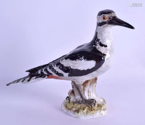 A 19TH CENTURY MEISSEN PORCELAIN FIGURE OF A BIRD painted in black enamels upon a naturalistic base.
