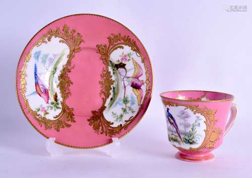 AN 18TH/19TH CENTURY SEVRES PORCELAIN TEA CUP AND SAUCER painted with fancy birds upon a rich pink