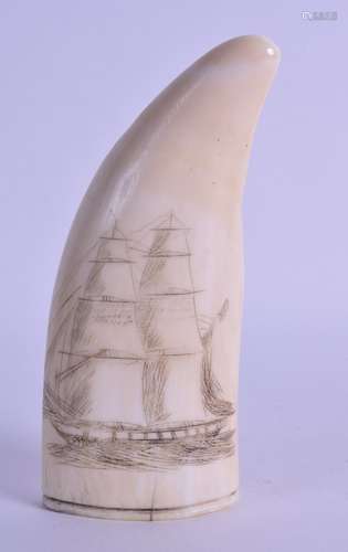 A 19TH CENTURY CARVED IVORY SCRIMSHAW TOOTH engraved with a boat in full sail at sea. 13.5 cm high.