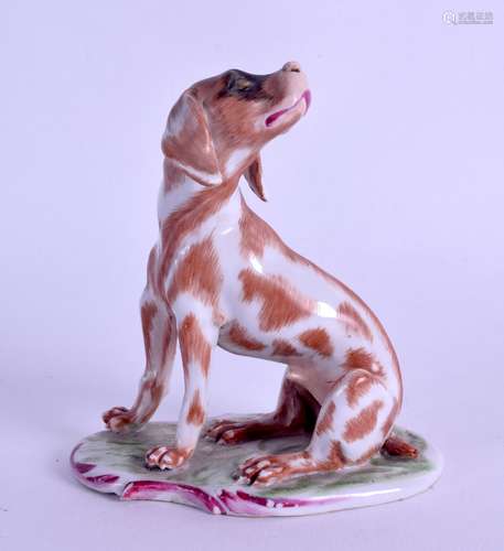 A FINE 18TH CENTURY FRENCH PORCELAIN FIGURE OF A HOUND possibly Saint-Omer, modelled upon a