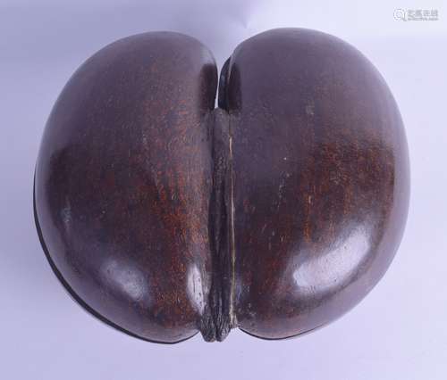 A 19TH CENTURY CARVED COCO DE MER NUT BOX AND COVER of naturalistic form. 28 cm x 32 cm.