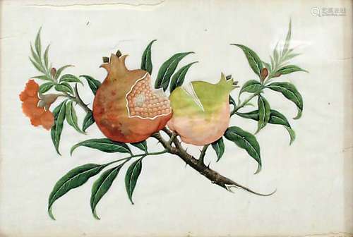 SET OF FIVE CHINESE PITH PAPER PAINTINGS, of various fruit in flowering branches, each 26cm x 18cm