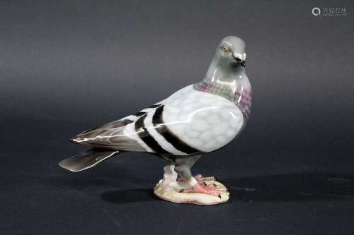 HUTSCHENREUTHER PORCELAIN PIGEON a porcelain figure of a Pigeon, signed by E Werner and made for