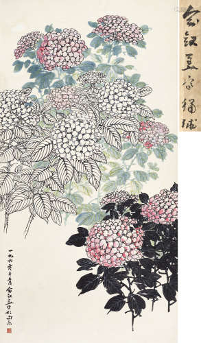 俞剑华（1895～1979） 绣球 立轴 设色纸本