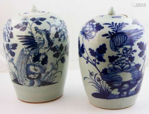 (2) 19th C. Chinese Porcelain Covered Vases