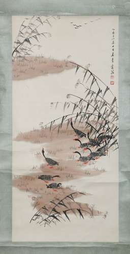 Chinese Ink/Color Scroll Painting of Duck, Signed