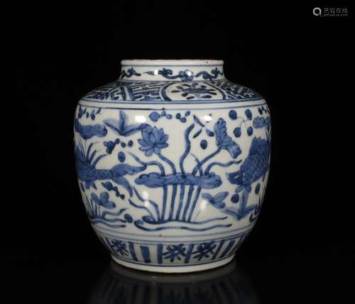 Chinese Blue/White Porcelain Jar