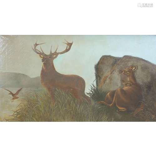 Robert Cleminson "Stag and Doe" oil on canvas