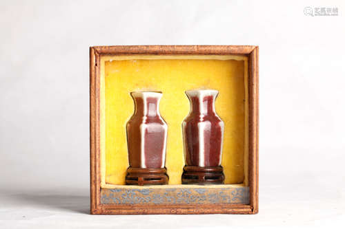 A pair of chinese 18 century red glaze small bottle