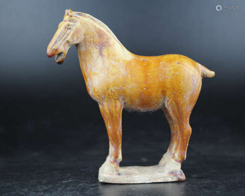 A SANCAI YELLOW-GLAZED HORSE