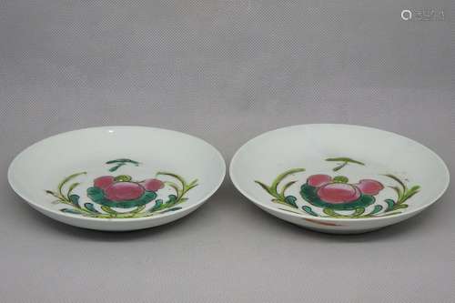 A Pair of Chinese Famille Rose Porcelain Plates