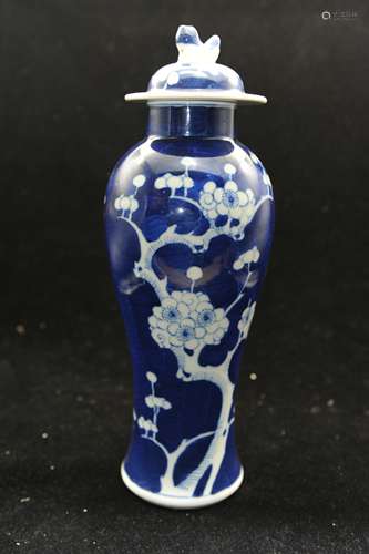 A Chinese Blue and White Porcelain Jar with Cover