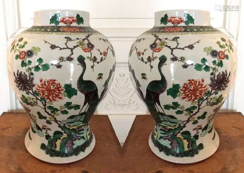 CHINE Paire de vases balustre en porcelaine polychrome de la famille verte à décor émaillé de paons. Marque KANGXI sous la base (1654-1722) Haut : 36 cm (éclat sur le bord de l'un)  Expert : Monsieur L'Herrou