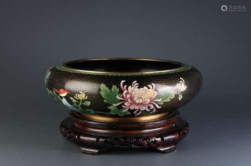 Chinese Cloisonne Fish Jar w/ Wood Stand