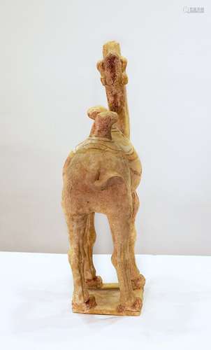 Camel - Tang dynasty - China - 7° - 10° century